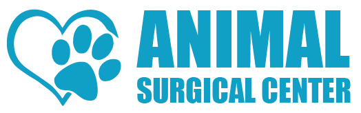 Surgeon and Veterinarian in New York | Animal Surgical Center