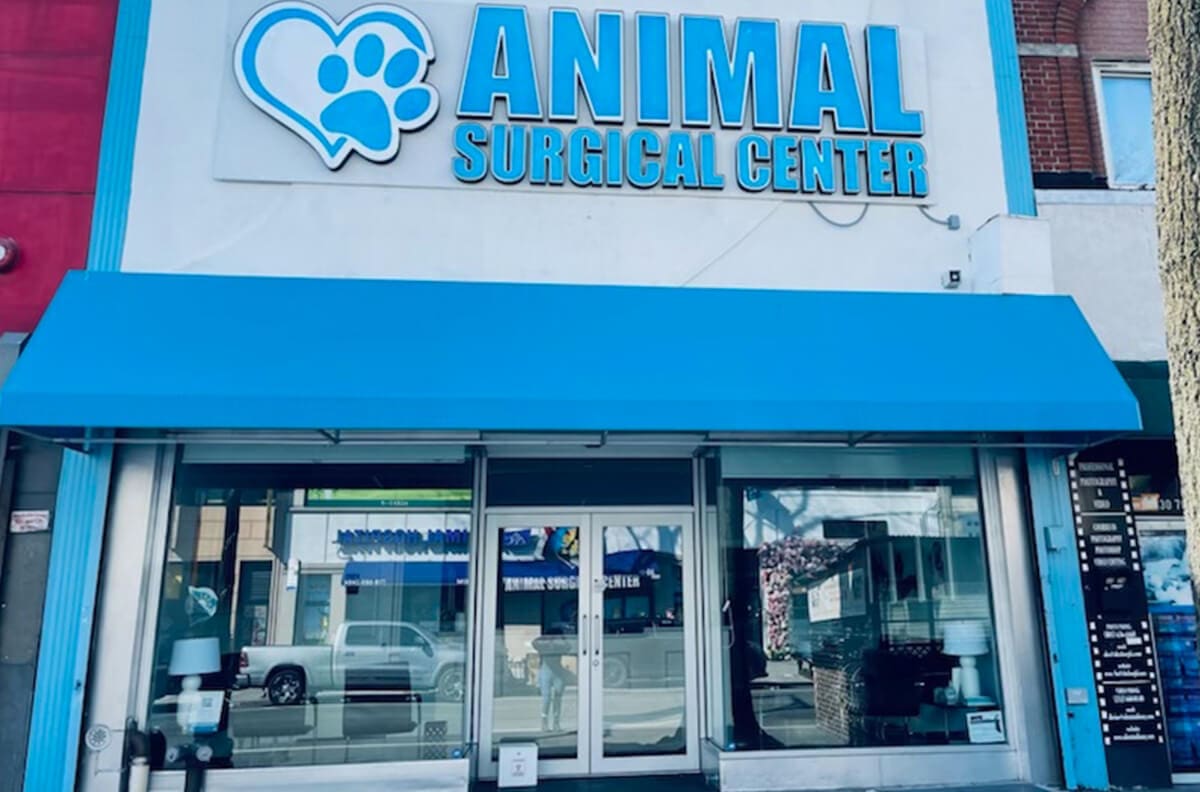Our Hospital Locations in New York | Animal Surgical Center