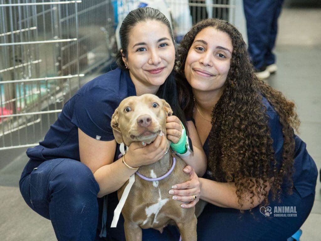 From left to right: Veterinary Assistants Laura Hernandez and Alyssa Rodriguez