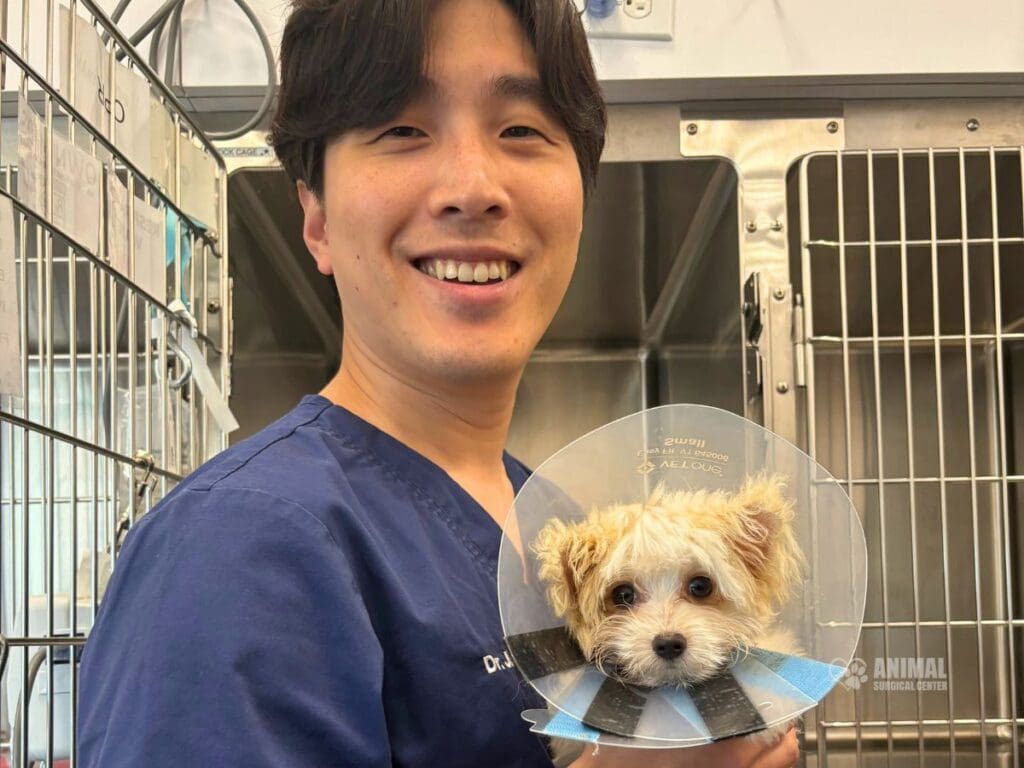 Dr. Jin Checking On Cooper After PDA Surgery