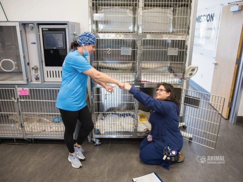 Two veterinary staff members interacting in an animal surgical center, one standing and the other kneeling near a row of animal cages. The standing staff member wears a blue shirt and a surgical mask, while the kneeling staff member is in a blue scrubs. The environment features modern veterinary equipment and a clean, professional setting.