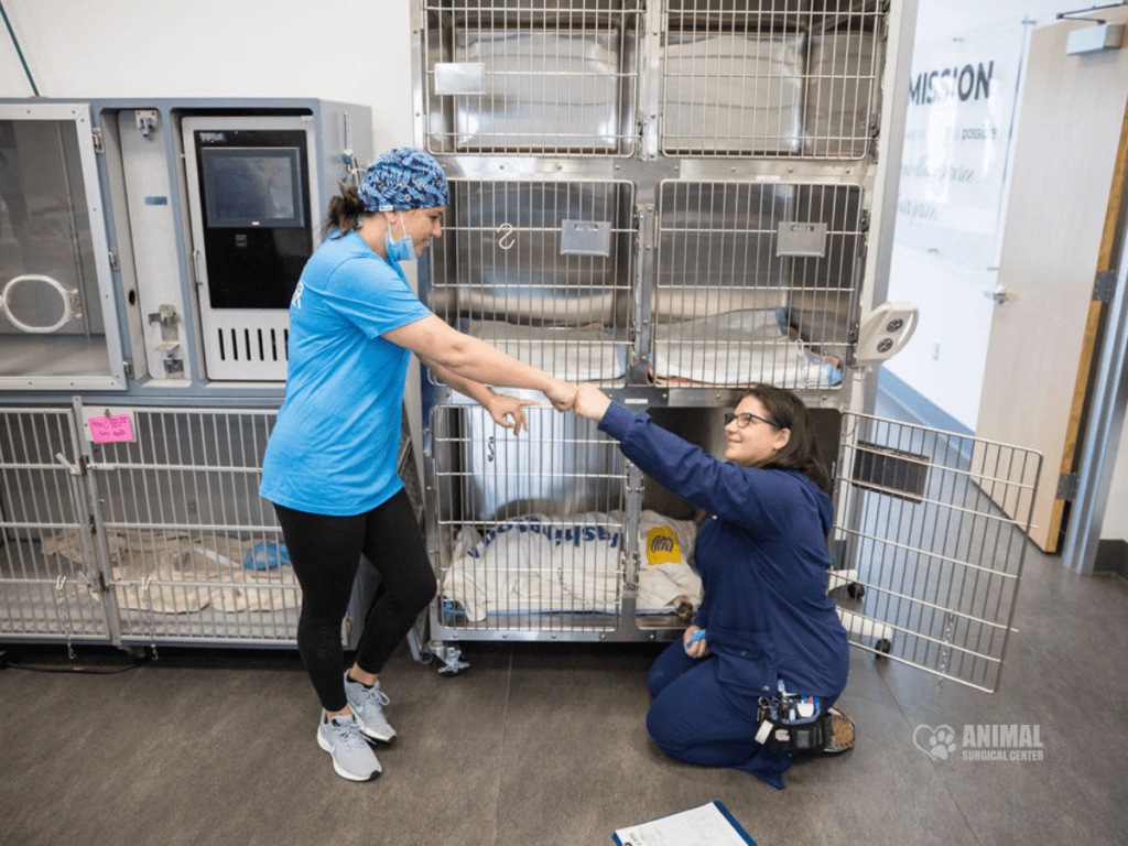 Nicole Helping An Animal Recover From Surgery