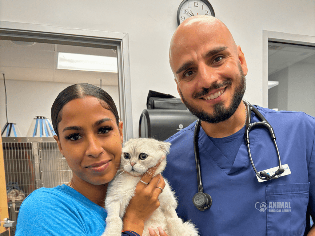 Woman holding a gray kitten beside a veterinarian in scrubs, both smiling in an animal clinic. The background shows pet care facilities.