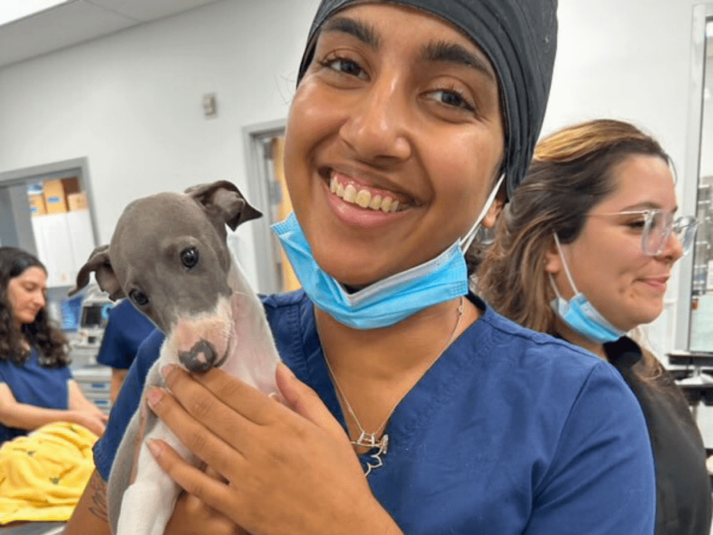 Smiling veterinary technician holding a small puppy while working in an animal clinic, with colleagues in the background.