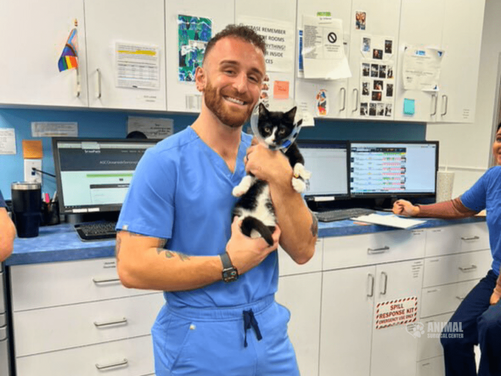 Veterinary technician in scrubs holding a black and white cat in a clinic setting, with team members and computer equipment in the background.