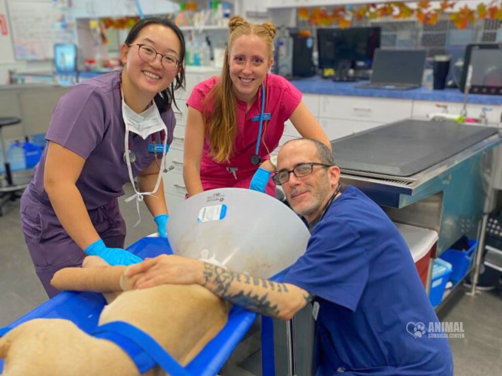 Veterinary team assisting a patient dog in a clinic, showcasing a compassionate environment with staff members wearing scrubs and medical gear.