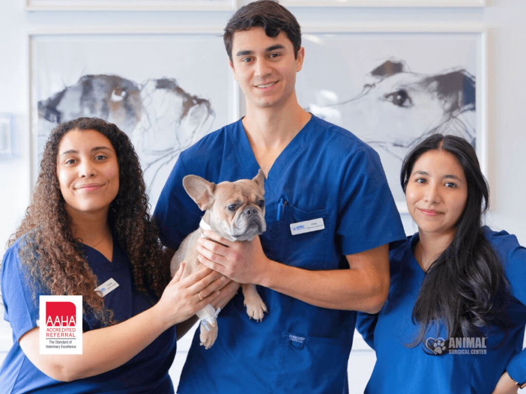 Animal Surgical Center Aaha Blog Cover