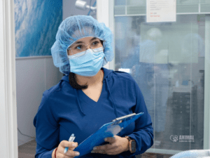 Animal Surgical Center Blog Image 4