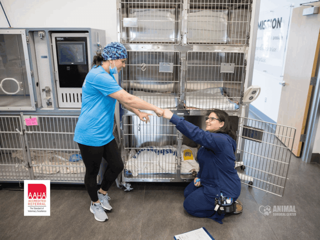 Animal Surgical Center Aaha Blog Cover