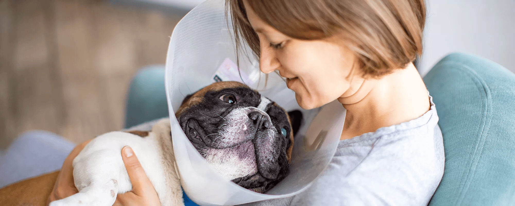 holding-dog-after-surgery
