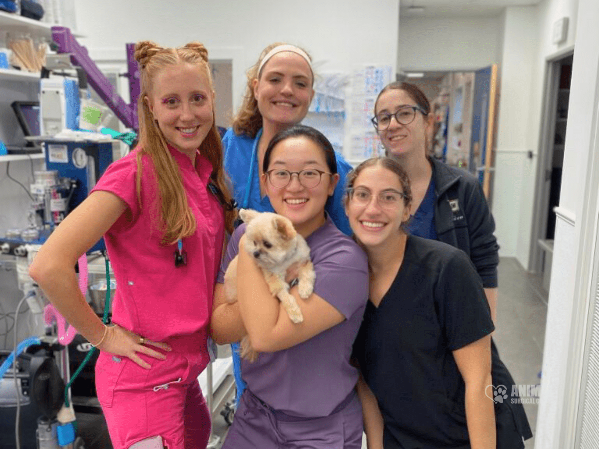 Animal-Surgical-Center-Blog-Image-4 (6)
